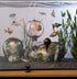 4-6-8" TankMatez Hydraulic Silent Release Bubble Fish Trap